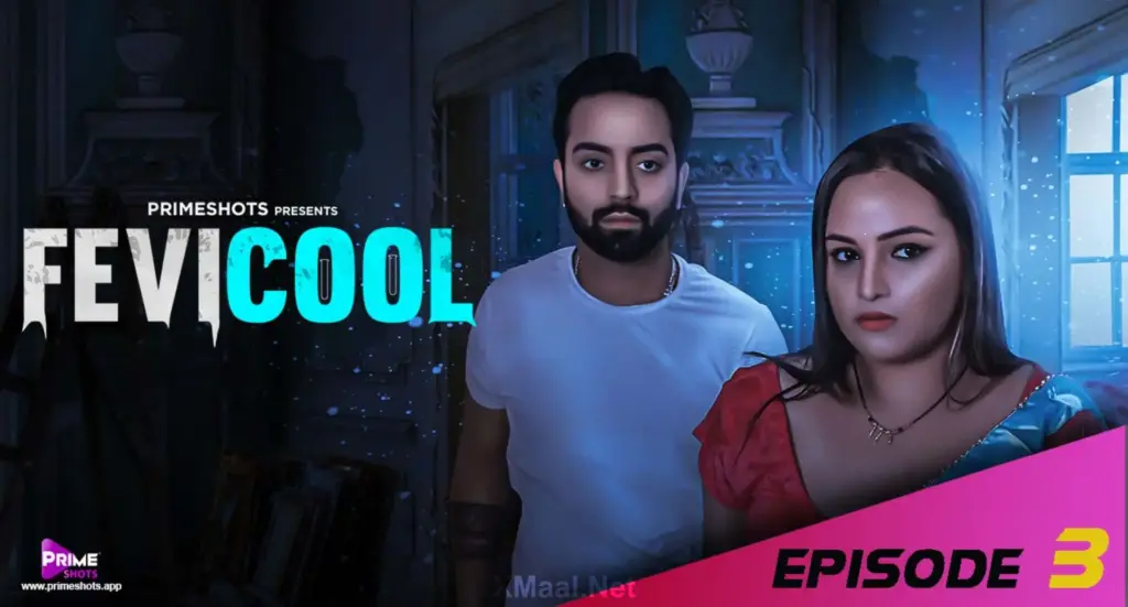 Fevicool S1 web series