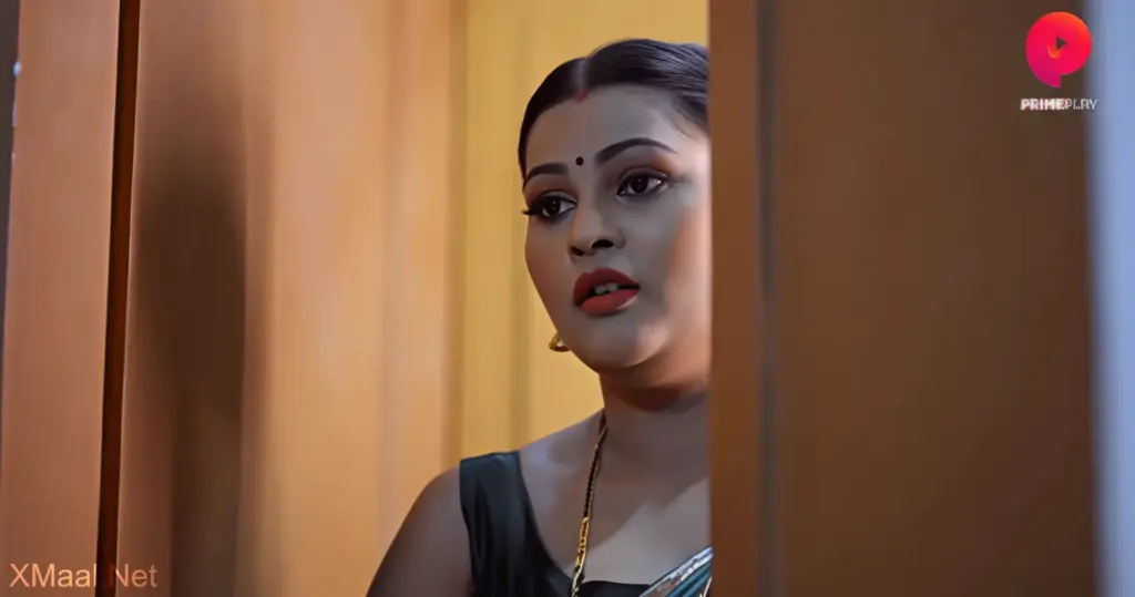 Pehredaar S4 web series