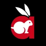 Rabbit OTT Platform logo