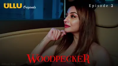 Woodpecker web series