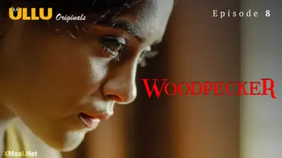 Woodpecker Episode 8